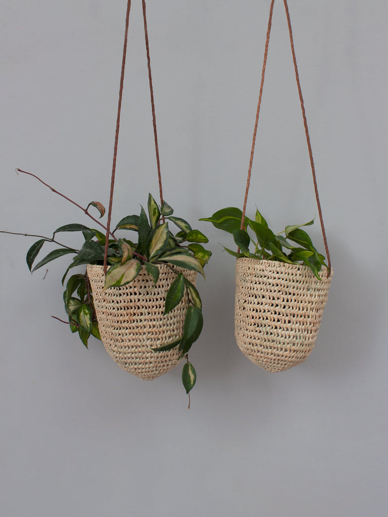 A pair of open weave dome hanging baskets with tan leather braided thong and trailing houseplants