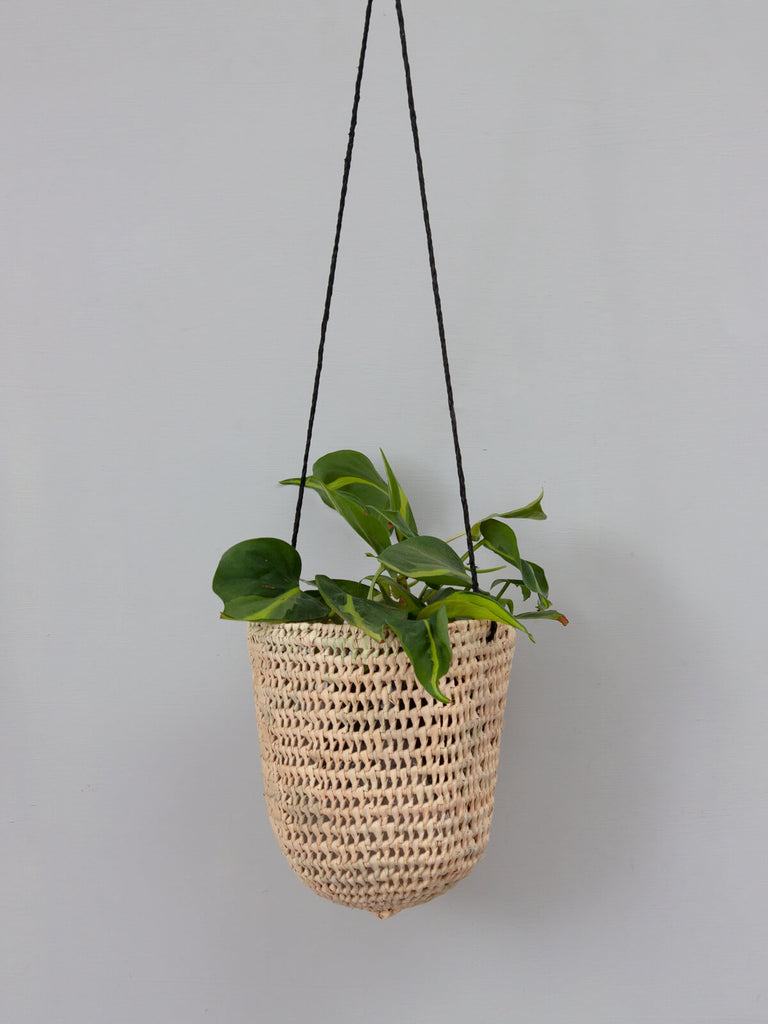 The small open weave dome hanging basket with black leather thong and green trailing houseplant