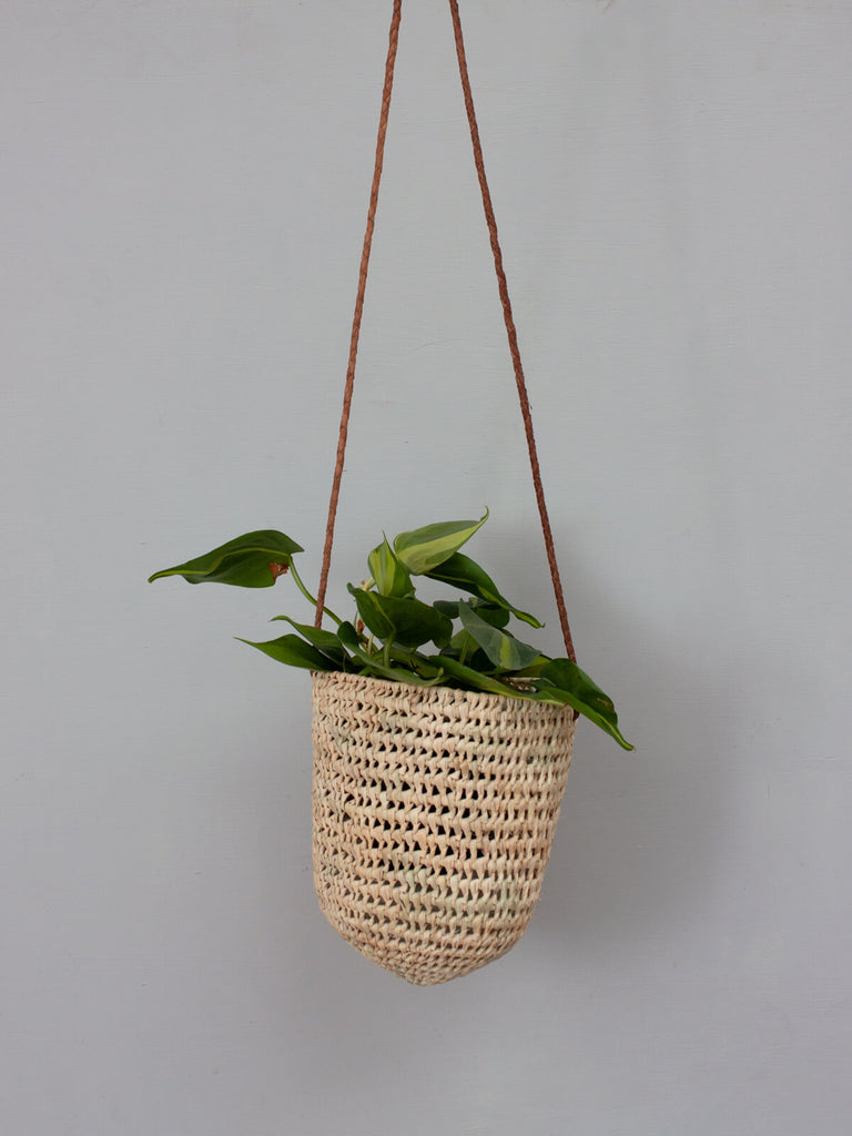 The small open weave dome hanging basket with tan leather thong and green trailing houseplant