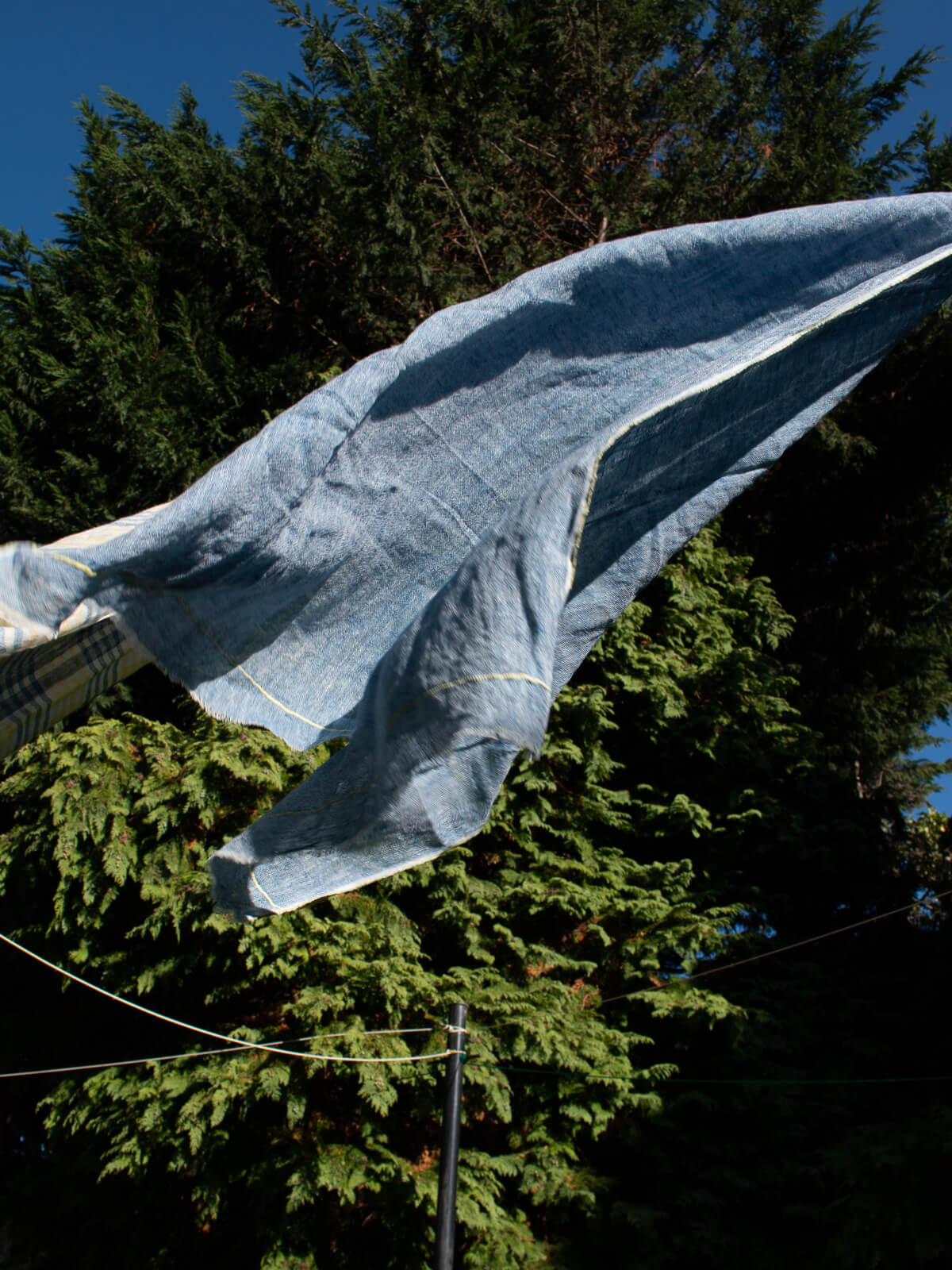 Linen Scarf in Indigo and Lemon hanging on a washing line