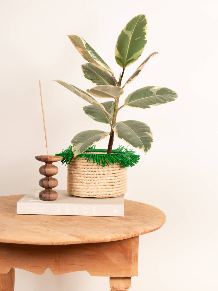 Large Raffia Tassel Storage Pot holding a houseplant on a small table alongside a book and walnut wood candle holder